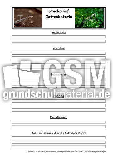 Gottesanbeterin-Steckbriefvorlage.pdf